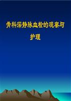 骨科深静脉血栓的预防与护理.ppt