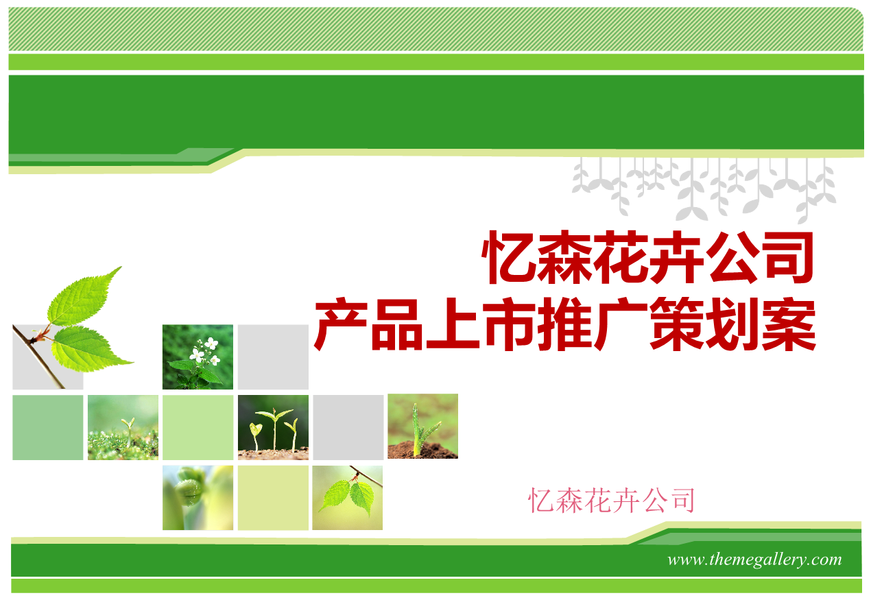 某某花卉公司产品上市推广策划方案.ppt