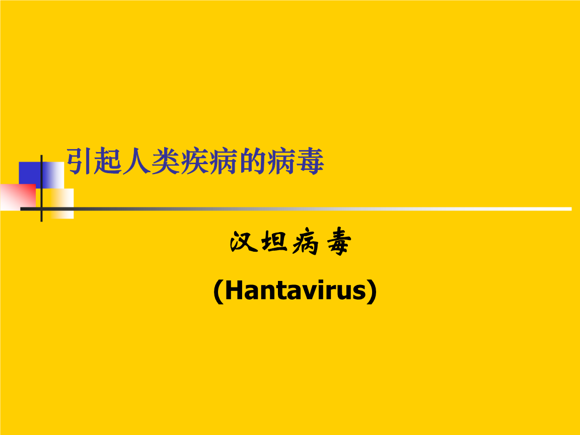 汉坦,疱疹病毒.ppt 39页