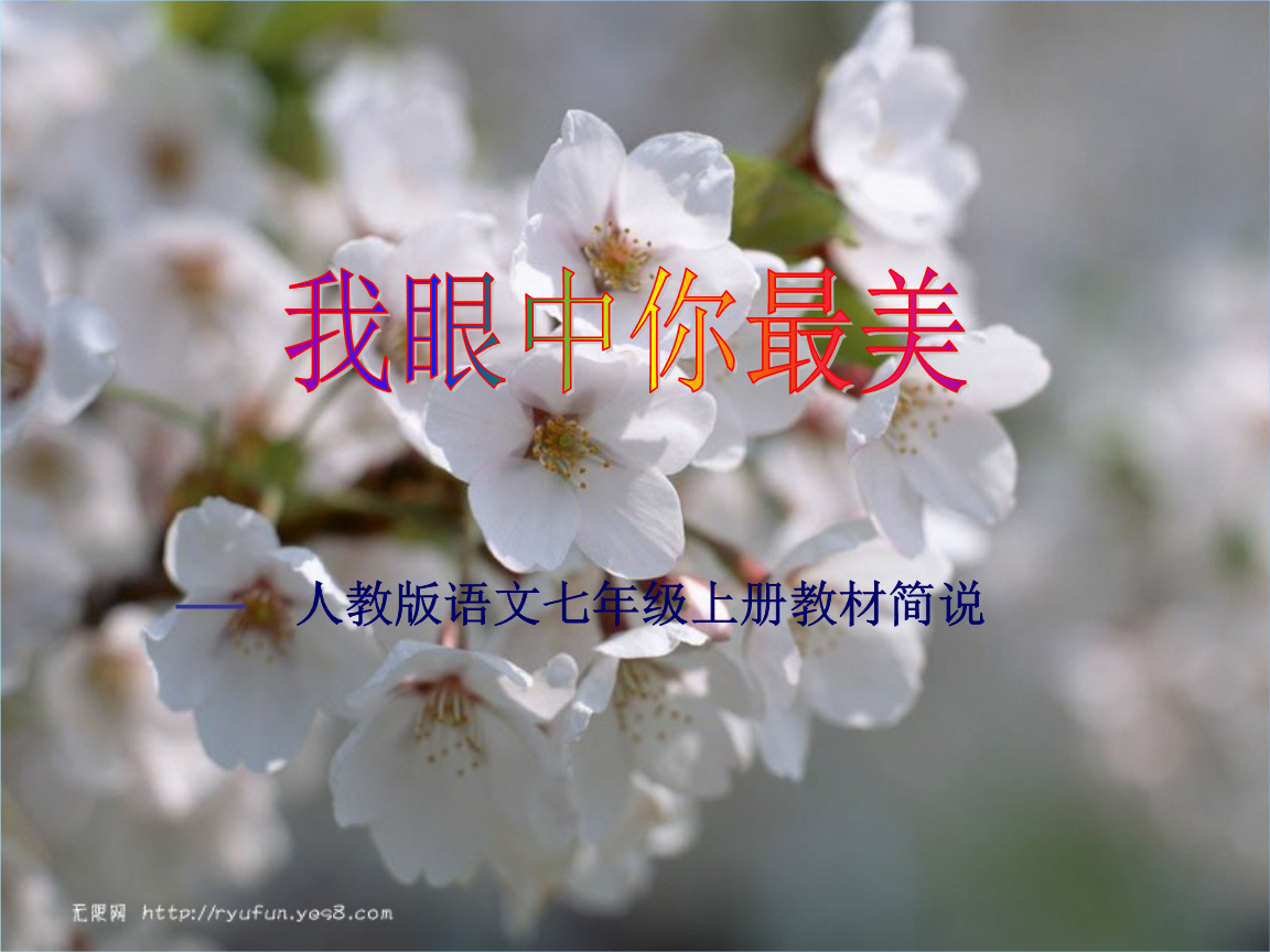 七年级语文上册 《我眼中你最美》教材简说课