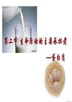 河北省石家庄第十五中学高二生物 生命活动的承担者-蛋白质 课件.ppt