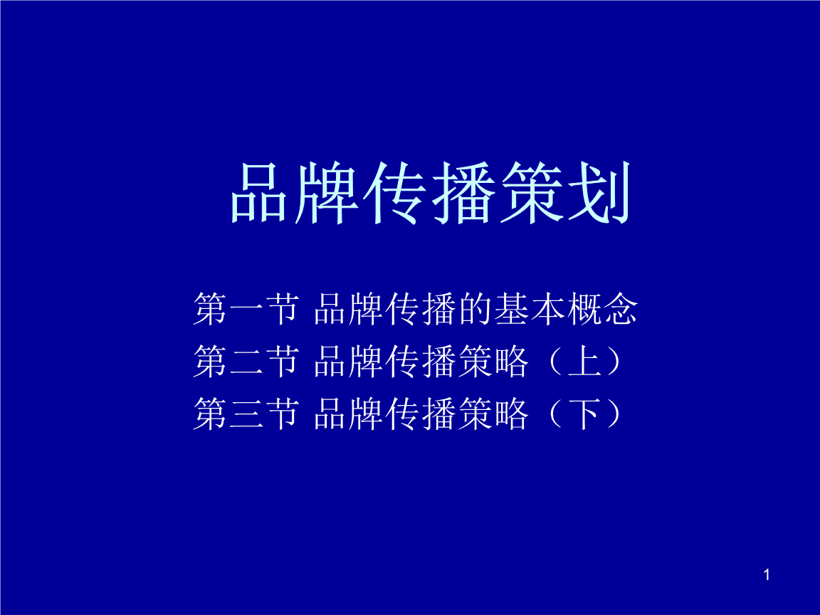 广告实施与策略品牌传播策划.ppt